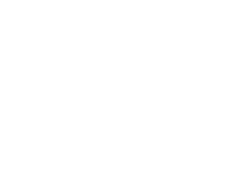 Litigios Biobío